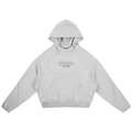 Grey TheRudestEver Curved Panel Raglan Hoodie